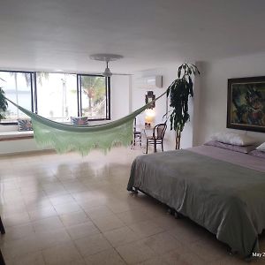 Habitacion De Lujo En Hermosa Casa Frente Al Mar